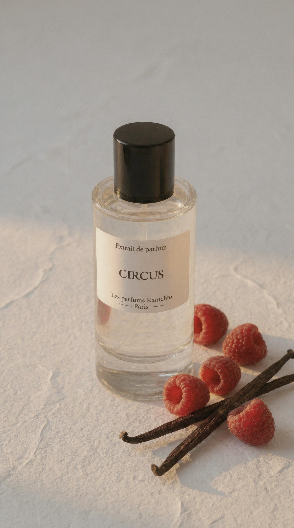 Circus