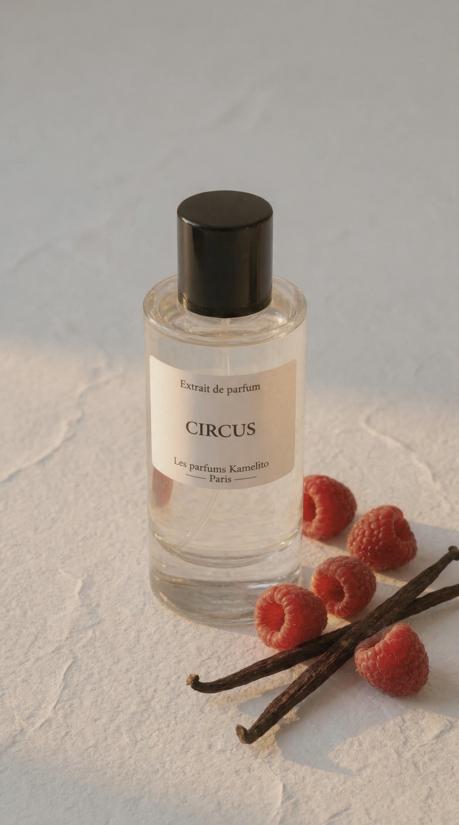 Circus